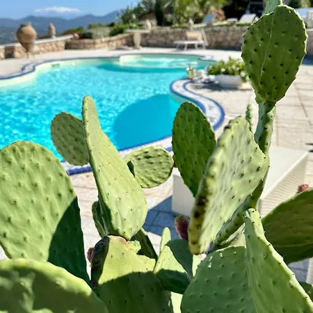 Infinity Sea View Heated Pool Jacuzzi Sauna Bbq Villa Ventu Di Mari * Cannigione