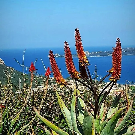 Infinity Sea View Heated Pool Jacuzzi Sauna Bbq Villa Ventu Di Mari * Cannigione